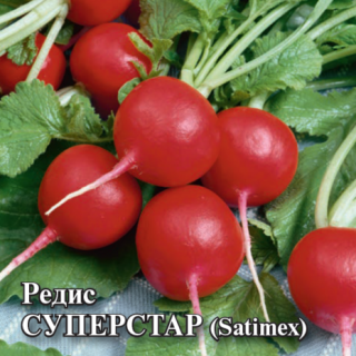 Редис Суперстар - ООО «Семена Тут»