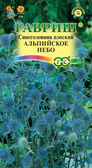 img-1: Синеголовник Альпийское небо [5 х 0,05 гр] - ООО «Семена Тут»