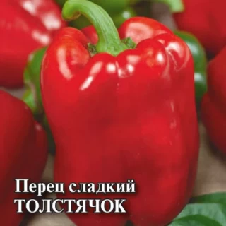 Перец Толстячок - ООО «Семена Тут»