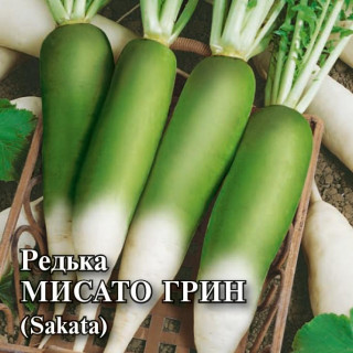 img-1: Дайкон (редька китайская) Мисато Грин - ООО «Семена Тут»