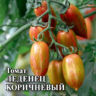 img-1: Томат Леденец коричневый - ООО «Семена Тут»