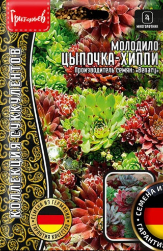img-1: Молодило Хиппи Чикс [ 5 х 5 драже] - ООО «Семена Тут»