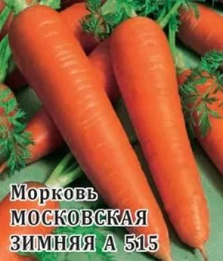 img-1: Морковь Московская Зимняя  А-515 - ООО «Семена Тут»