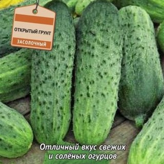 Огурец Багратион F1 - ООО «Семена Тут»