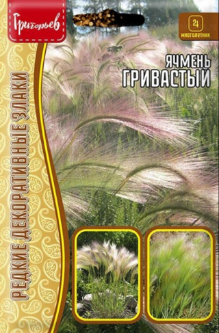 img-1: Ячмень Гривастый [5 х 0,1 гр] - ООО «Семена Тут»