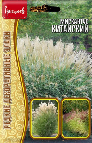 img-1: Мискантус Китайский [5 х 0,01 гр] - ООО «Семена Тут»