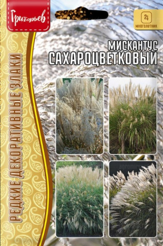 img-1: Мискантус Сахароцветковый [5 х 0,1 гр] - ООО «Семена Тут»