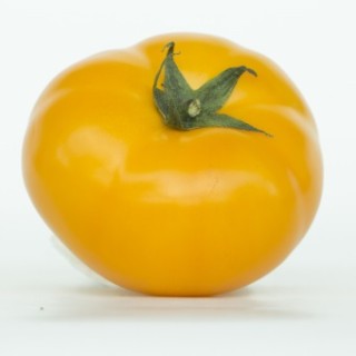 img-0: Томат KS 17 F1 (Нукси F1) - ООО «Семена Тут»