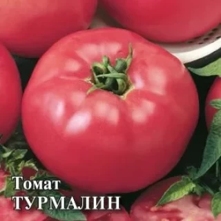 img-1: Томат Турмалин F1 - ООО «Семена Тут»