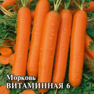 img-0: Морковь Витаминная 6 - ООО «Семена Тут»