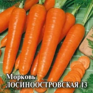 img-1: Морковь Лосиноостровская 13 - ООО «Семена Тут»