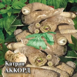img-2: Катран Пикадром - ООО «Семена Тут»