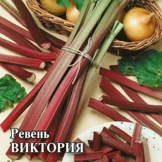 img-1: Ревень Виктория - ООО «Семена Тут»