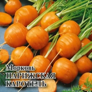 Морковь Парижская каротель - ООО «Семена Тут»