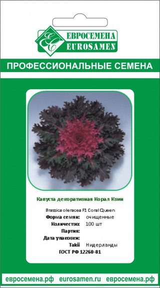 img-1: Капуста декоративная Корал Квин [100 шт] - ООО «Семена Тут»