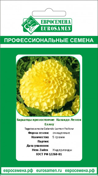 img-1: Бархатцы прямостоячие Каландо Лемон Еллоу [5 гр] - ООО «Семена Тут»