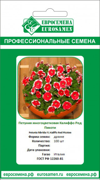 img-1: Петуния мультифлора Калиффо Ред Пикоти [100 драже] - ООО «Семена Тут»
