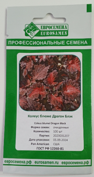 img-1: Колеус Драгон Блэк [100 шт] - ООО «Семена Тут»