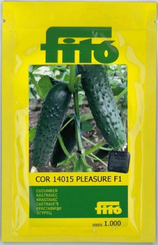 img-1: Огурец COR 14015  F1 - ООО «Семена Тут»