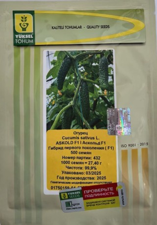 img-1: Огурец Аскольд F1 - ООО «Семена Тут»
