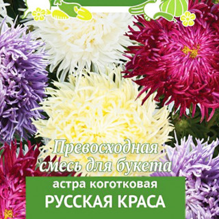 img-1: Астра коготковая Русская Краса - ООО «Семена Тут»