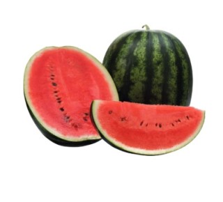 Арбуз Эркен F1 - ООО «Семена Тут»