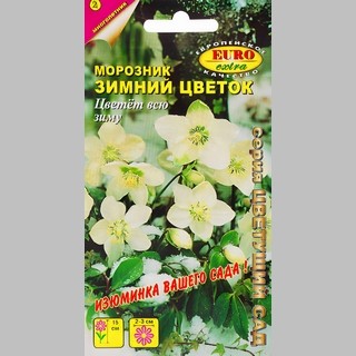img-1: Морозник Зимний Букет [5*0,05 гр] - ООО «Семена Тут»