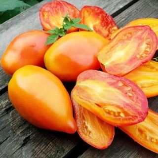 Томат Похвала Марины - ООО «Семена Тут»