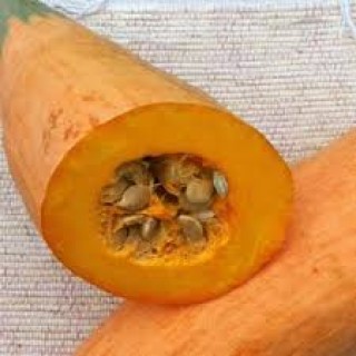 img-1: Тыква Розовый Банан - ООО «Семена Тут»