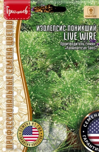 img-2: Изолепис Лив Вайэ [5 х 3 м/др] - ООО «Семена Тут»
