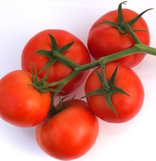 img-0: Томат Кадьяк F1 - ООО «Семена Тут»