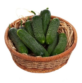 Огурец Крисфильд F1 - ООО «Семена Тут»