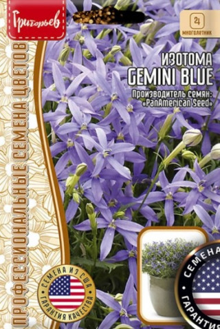 img-1: Лаурентия (изотома) Гемини Блю [5 х 3 др] - ООО «Семена Тут»