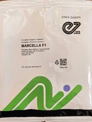 img-2: Кабачок Марселла F1 - ООО «Семена Тут»