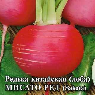 img-1: Дайкон (редька китайская) Мисато Ред - ООО «Семена Тут»