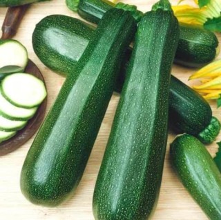 Кабачок Монтенегро F1 - ООО «Семена Тут»