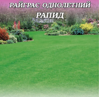 Райграс однолетний Рапид - ООО «Семена Тут»