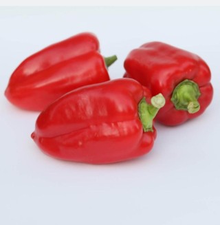 img-0: Перец Рапидо F1 - ООО «Семена Тут»