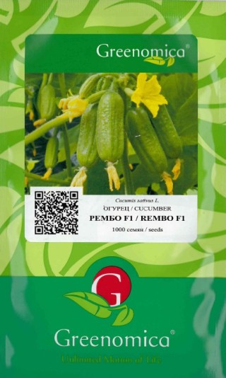 img-1: Огурец Рембо F1 - ООО «Семена Тут»