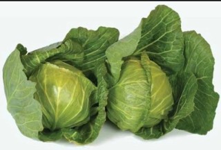 img-1: Капуста белокочанная Росберг F1 - ООО «Семена Тут»