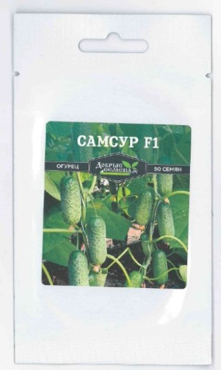 img-4: Огурец Самсур F1 - ООО «Семена Тут»