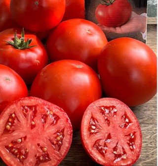 img-1: Томат Стан 5000 F1 - ООО «Семена Тут»