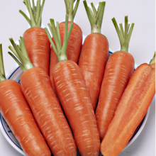 Морковь Проминанс F1 (фракция 1,6-1,8 мм) - ООО «Семена Тут»