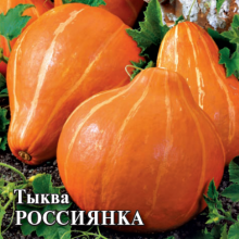 Тыква Россиянка - ООО «Семена Тут»