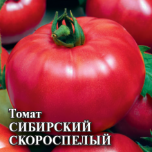 img-1: Томат Сибирский скороспелый - ООО «Семена Тут»