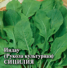 img-2: Индау Сицилия - ООО «Семена Тут»