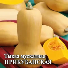 Тыква мускатная Прикубанская - ООО «Семена Тут»
