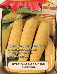img-1: Кукуруза сахарная Виктория - ООО «Семена Тут»