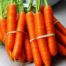 Морковь Несравненная - Семена Тут