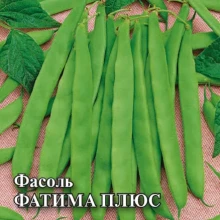 Фасоль Фатима Плюс - ООО «Семена Тут»